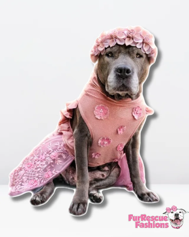 Elegant & delicate Dog Tutu Dress Denim unclassified dresses