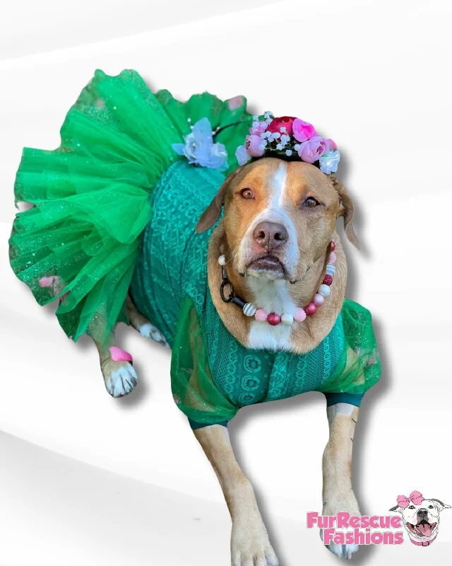 Fancy Dog Tutu Dress Striped unclassified dresses