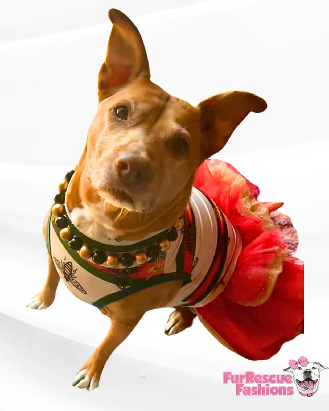 Paw-ucci Dog Tutu Dress Luxury unclassified dresses