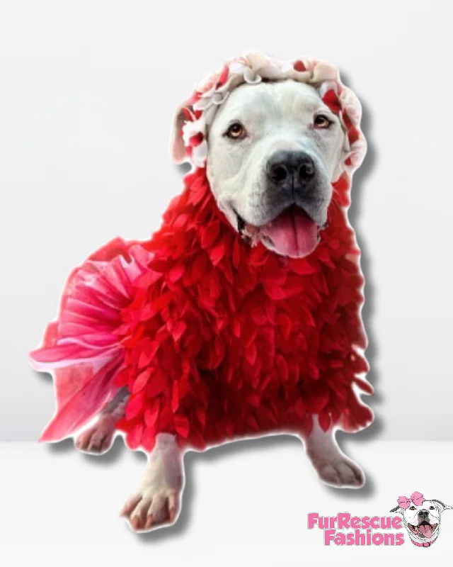 Special Feather Gala Dog Tutu Dress Spring unclassified dresses