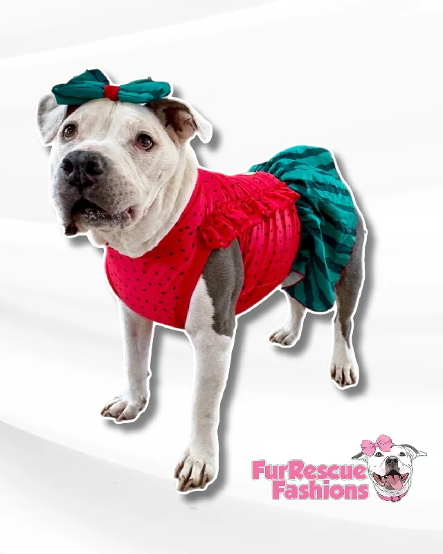 Watermelon Dog Dress With Ruffles & Bow Chiffon unclassified dresses